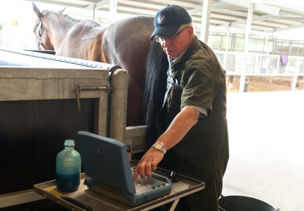 equine-reproduction-services